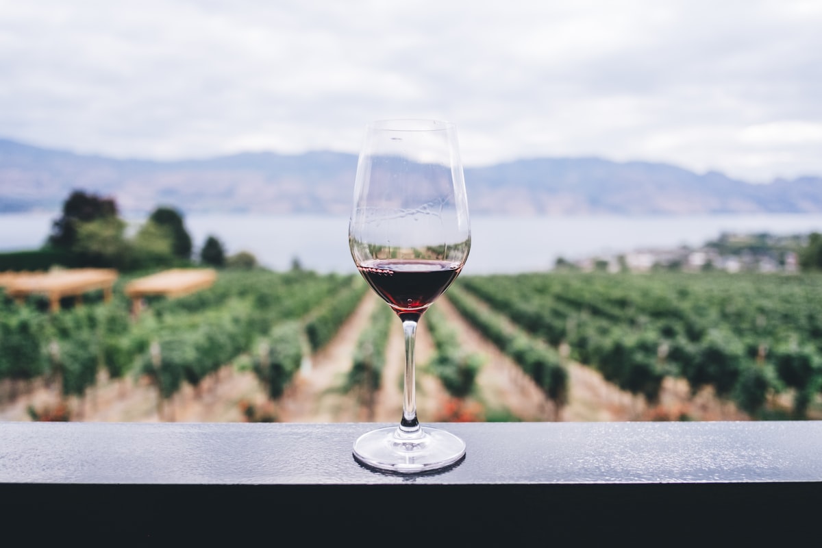 Vignobles